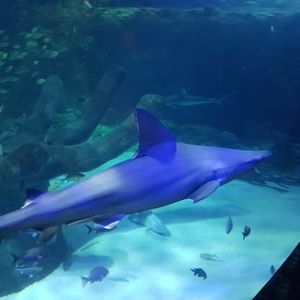 Meet your Posher, Alberto